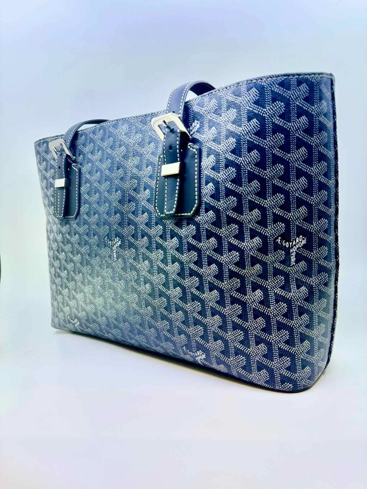 GOYARD Goyardine Okinawa PM Handbag