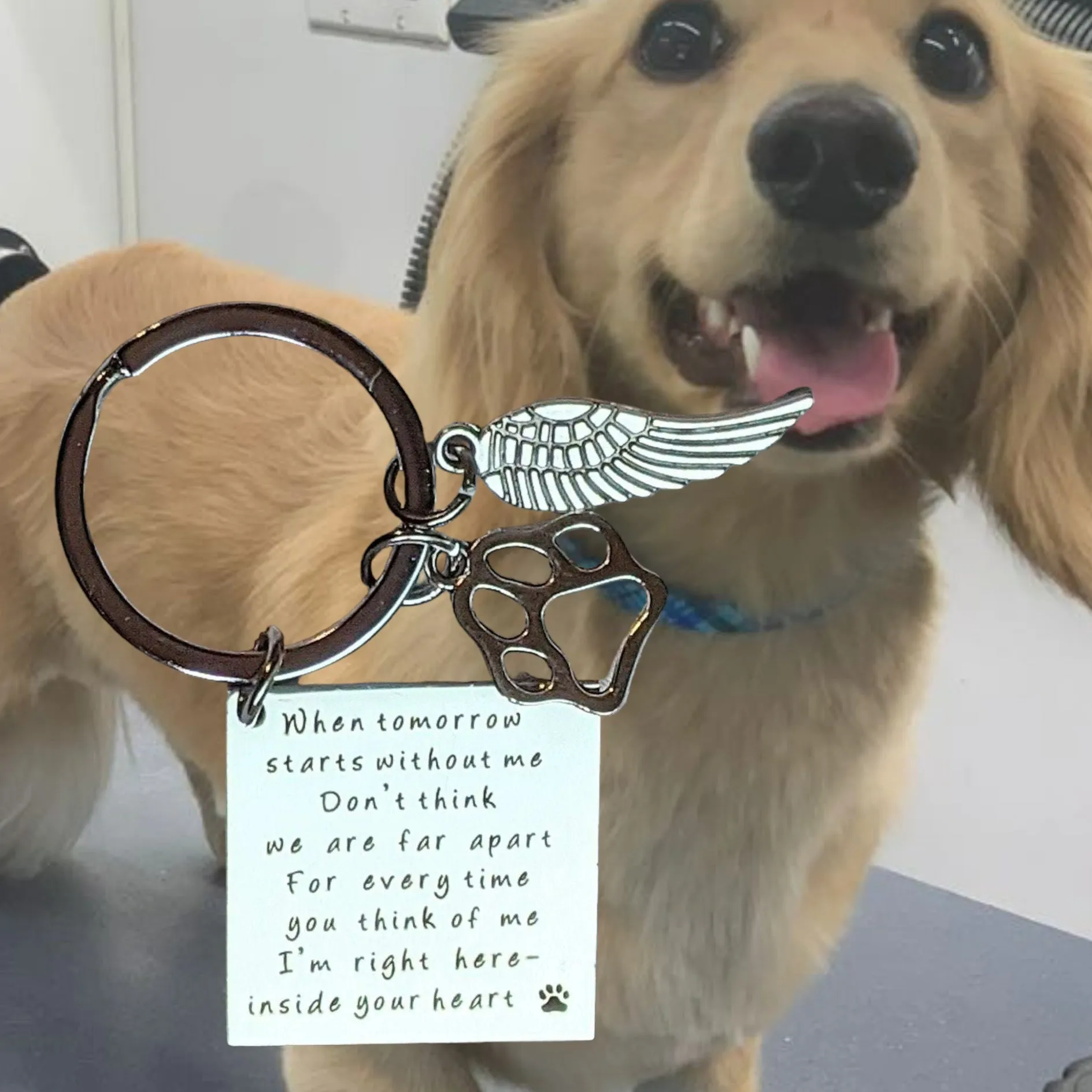 Pet Bereavement Key Chain, Key Holder